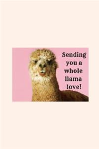 Sending you a whole llama love!