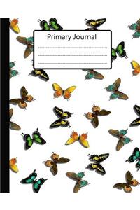 primary journal
