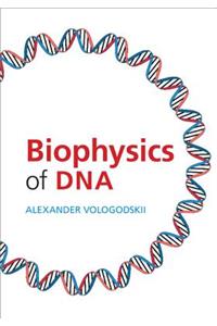 Biophysics of DNA