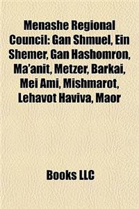 Menashe Regional Council