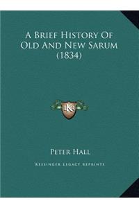 A Brief History Of Old And New Sarum (1834)