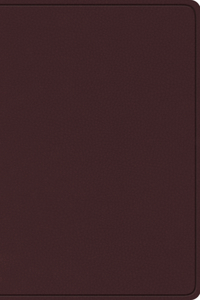 ESV Study Bible, Large Print