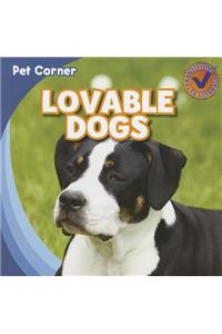 Lovable Dogs
