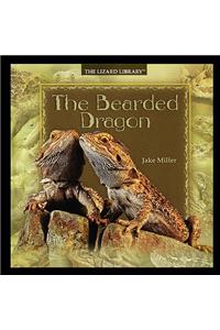 Bearded Dragon