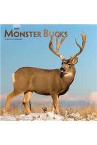 Monster Bucks 2019 Square Foil