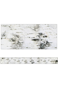 Woodland Whimsy Birch Tree Straight Bulletin Board Borders