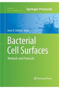 Bacterial Cell Surfaces