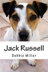 Jack Russell