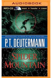 Spider Mountain