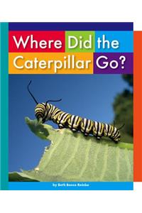 Where Did the Caterpillar Go?