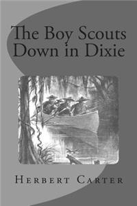 The Boy Scouts Down in Dixie