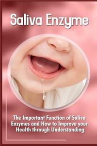 Saliva Enzymes
