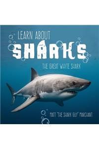 Learn About Sharks