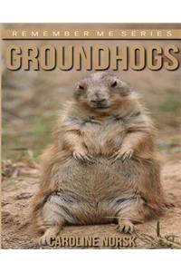 Groundhogs