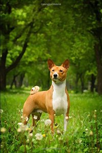 Basenji: Artified Pets Journal/Notebook/Diary 160 Pages