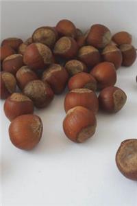Hazelnuts aka Filberts Journal