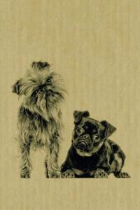 Brussels Griffon