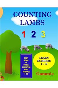 Counting Lambs 1 2 3