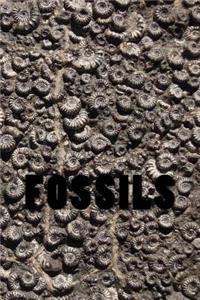 Fossils