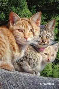 Cat Notebook