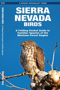 Sierra Nevada Birds