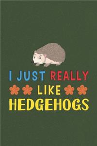 I Just Really Like Hedgehogs