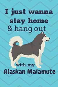 I just wanna stay home & hang out with my Alaskan Malamute