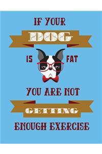 If your dog is fat you are not getting enough exercise