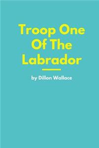 Troop One Of The Labrador