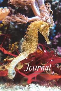 Journal
