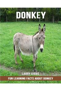 Fun Learning Facts about Donkey