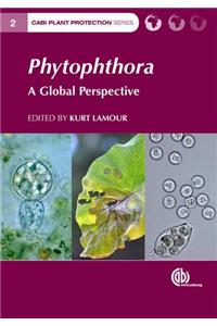 Phytophthora