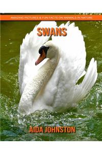 Swans: Amazing Pictures & Fun Facts on Animals in Nature