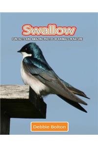 Swallow: Fun Facts and Amazing Photos of Animals in Nature