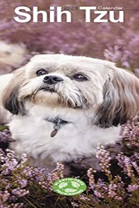 Shih Tzu 2023 Slim Calendar