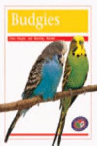 Budgies PM Non Fiction Amimal Facts Level 16 Pets Orange