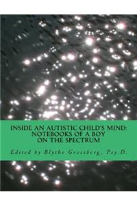 Inside an Autistic Child's Mind