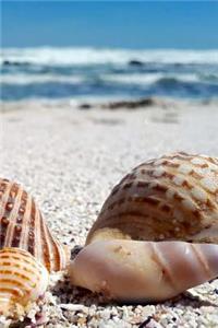 Seashells Notebook