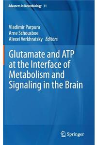 Glutamate and Atp at the Interface of Metabolism and Signaling in the Brain