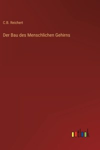 Bau des Menschlichen Gehirns