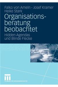 Organisationsberatung Beobachtet