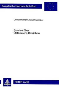 Sunrise ueber Oesterreichs Betrieben