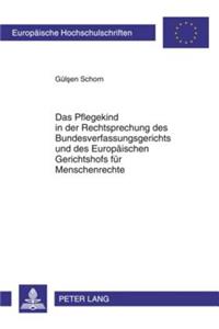 Pflegekind in Der Rechtsprechung Des Bundesverfassungsgerichts Und Des Europaeischen Gerichtshofs Fuer Menschenrechte