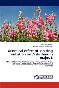 Genetical effect of ionizing radiation on Antirrhinum majus L