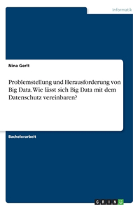 Problemstellung und Herausforderung von Big Data. Wie lässt sich Big Data mit dem Datenschutz vereinbaren?