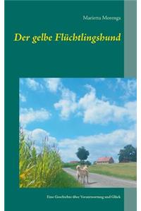 gelbe Flüchtlingshund