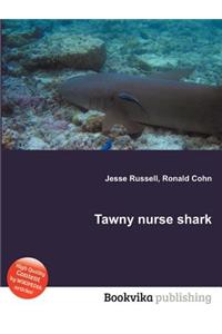 Tawny Nurse Shark