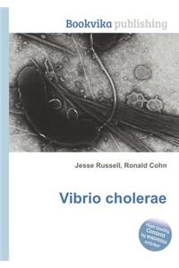 Vibrio Cholerae