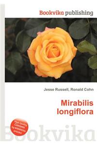 Mirabilis Longiflora