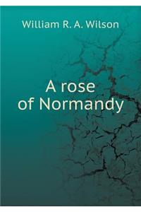 A rose of Normandy